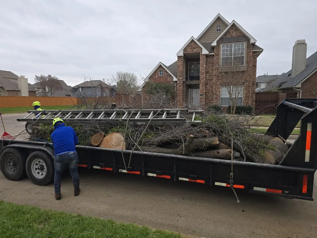 Expert Tree Pest Control with proper safety equipment in Caruthers